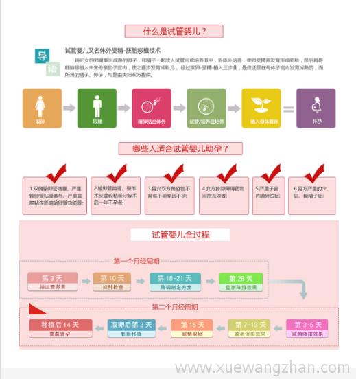 手机站WordPress模板主题演示图6