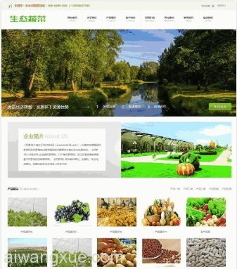 生态蔬菜企业WordPress网站主题模板