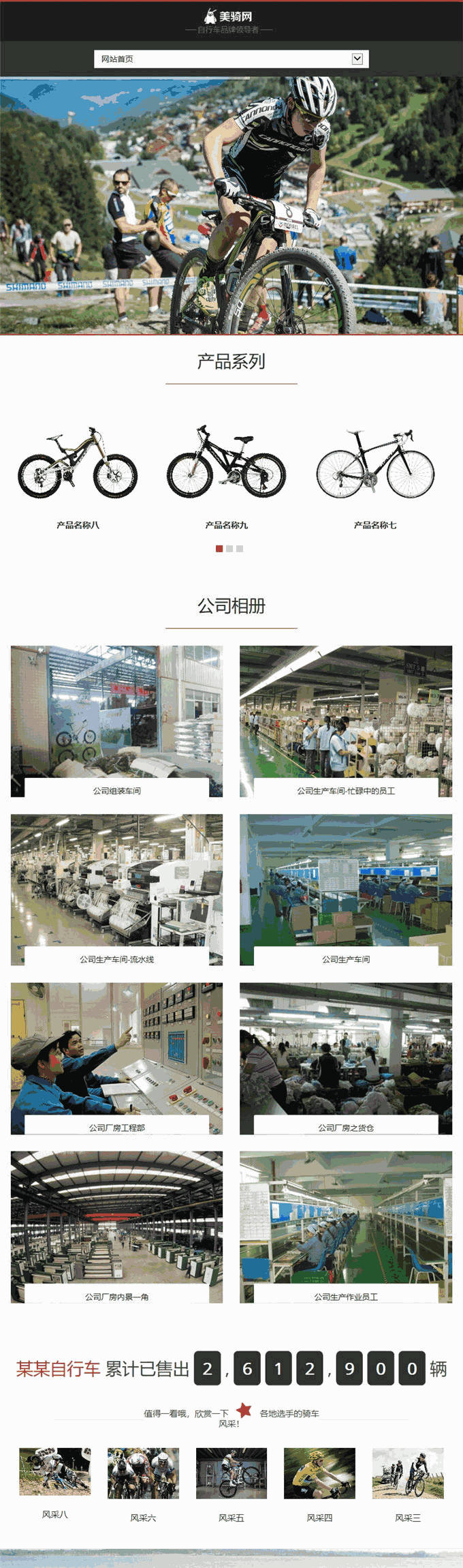 品牌自行车山地自行车儿童自行车企业网站制作_网站建设模板演示图