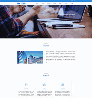 企业商务服务公司网站制作_网站建设模板