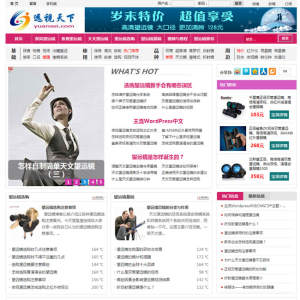 红色文章门户粉色网站主题源码