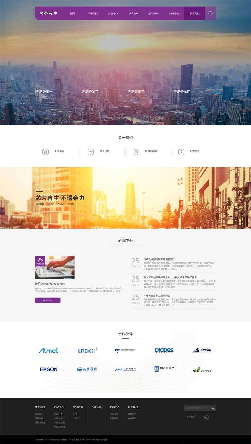 电子芯片公司网站制作_网站建设模板演示图