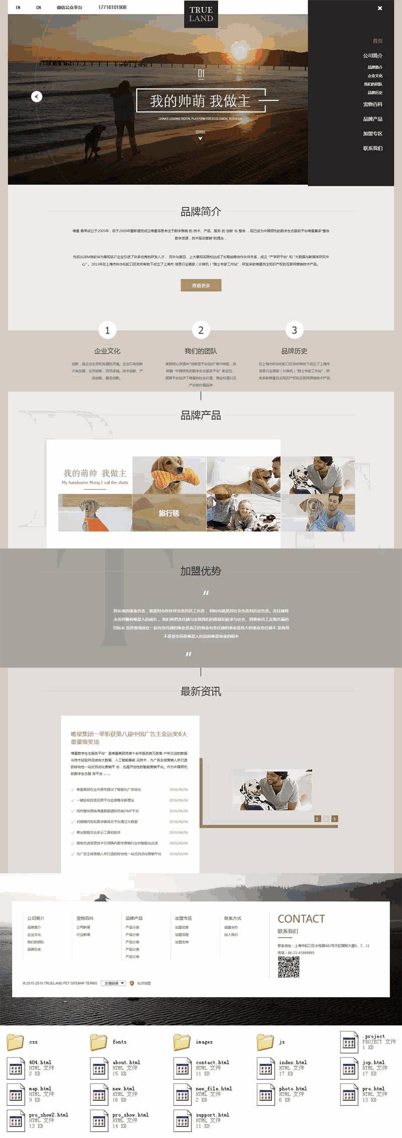 简洁的宠物培训机构html5网站制作_网站建设模板演示图