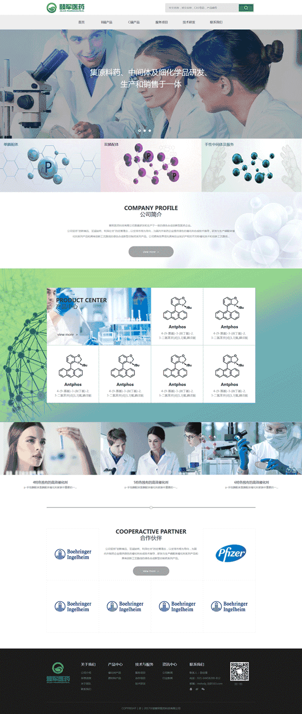 宽屏的生物医药化学公司网站制作_网站建设模板演示图