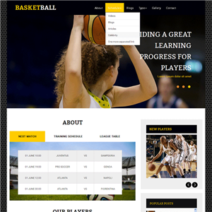 黑色体育篮球俱乐部网站WordPress主题源码