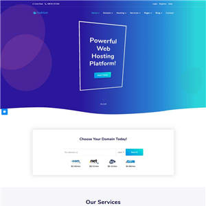 域名主机服务商官网网站制作_网站建设模板