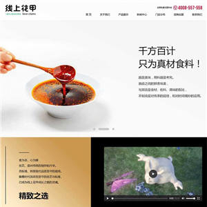 品牌特色餐饮美食动画自适应手机网站WordPress主题