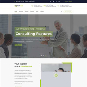 营销型咨询公司手机网站含手机站WordPress主题