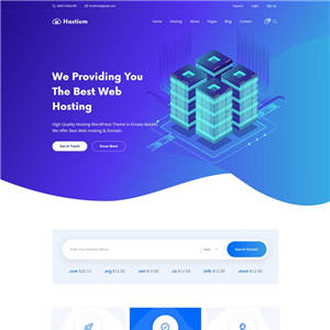 网络主机信息技术网站WordPress主题源码