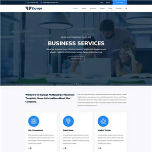多用途业务咨询网站主题模板