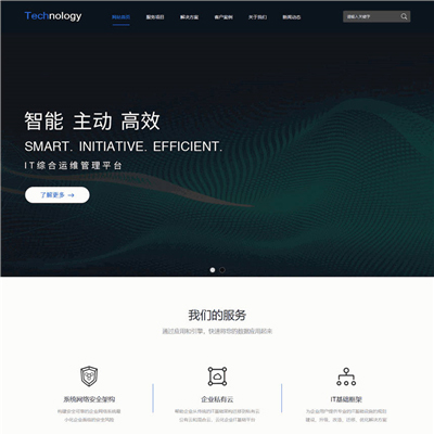 精选科技公司网页网站主题