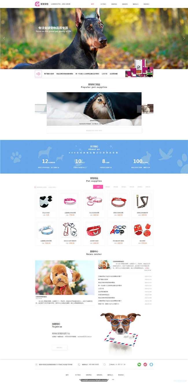 宠物店宠物家政服务网站含手机站WordPress主题演示图