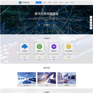 IT科技软件互联网软件开发网站WordPress主题模板
