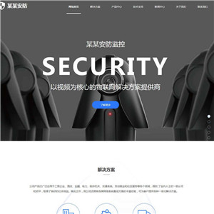 安防监控公司家电灯具安防监控网站带手机端WordPress主题