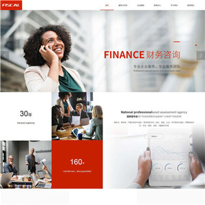 财务公司财务咨询工商法律专利网站带手机端WordPress主题