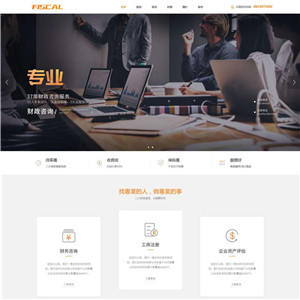 财务公司咨询工商法律专利财务网站主题源码