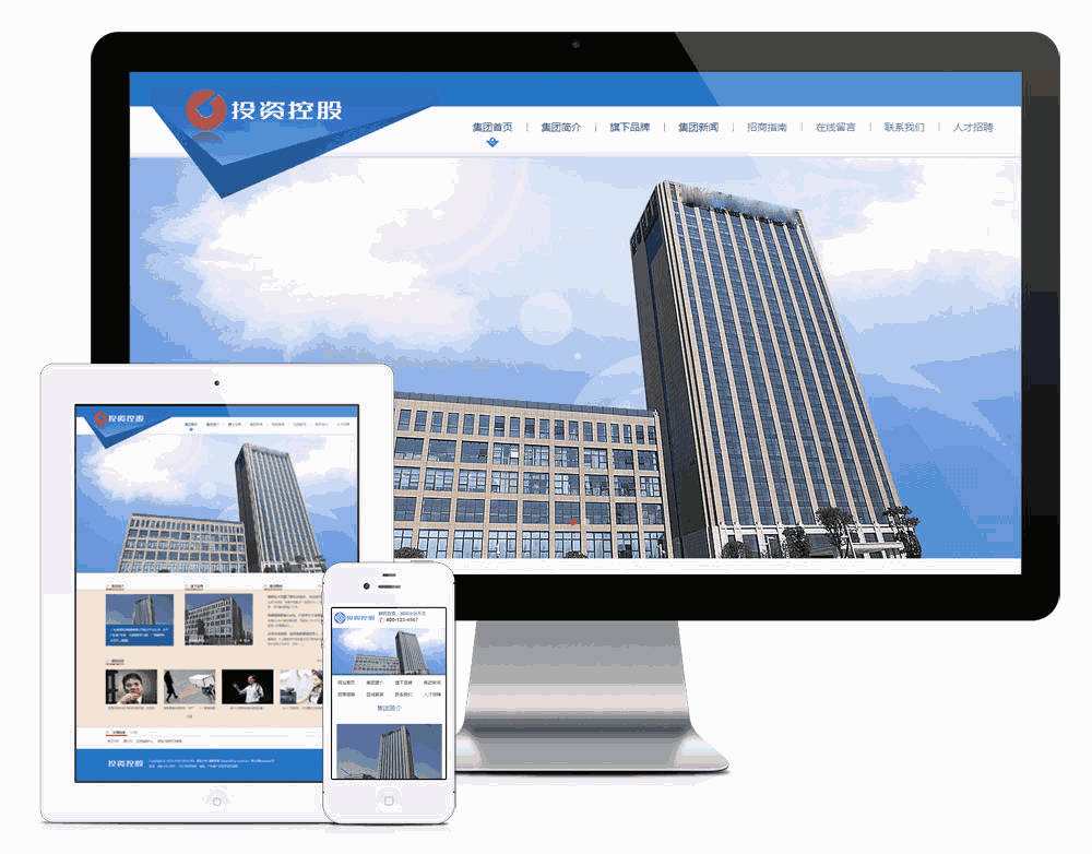 金融投资企业控股网站制作_网站建设模板演示图